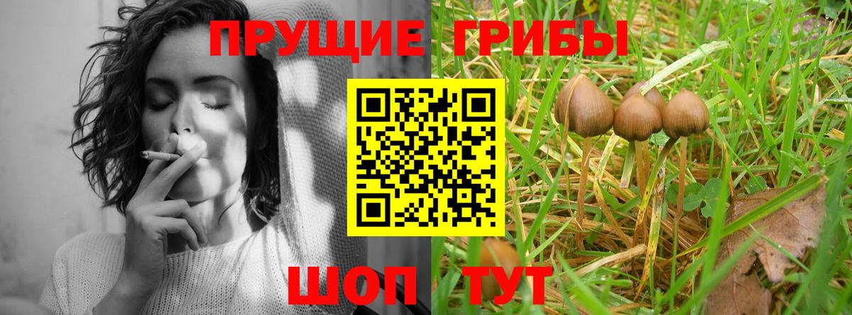 Галлюциногенные грибы мицелий  Псилоцибиновые грибы мицелий  Ирбит  Вход с VPN 