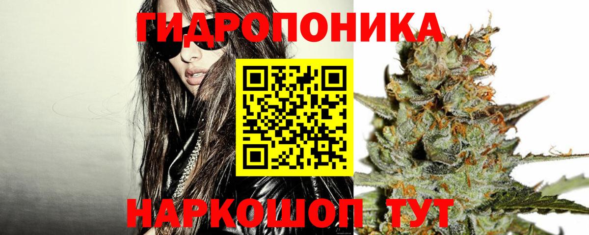 Каннабис сатива Ирбит